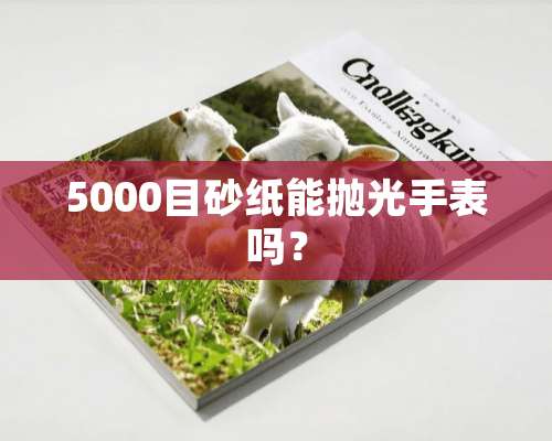 5000目砂纸能抛光手表吗？