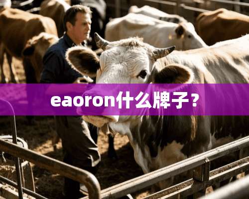 eaoron什么牌子？