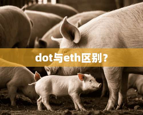 dot与eth区别？