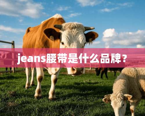 jeans腰带是什么品牌？