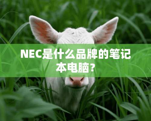 NEC是什么品牌的笔记本电脑？