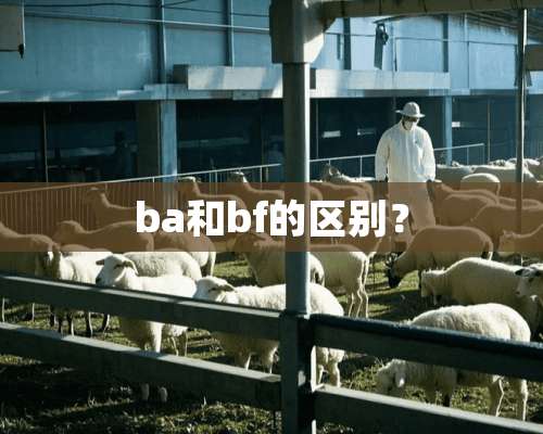 ba和bf的区别？