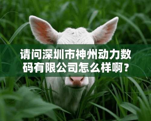 请问深圳市神州动力数码有限公司怎么样啊？