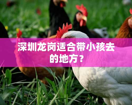 深圳龙岗适合带小孩去的地方？