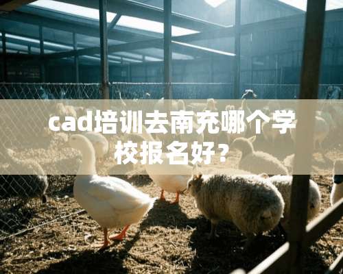 cad培训去南充哪个学校报名好？