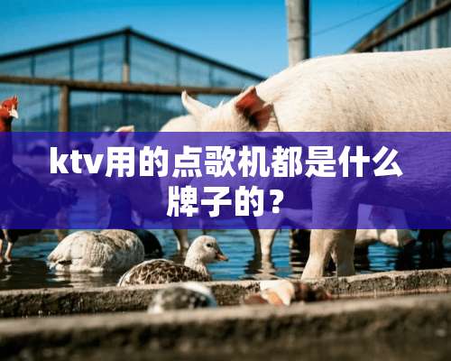 ktv用的点歌机都是什么牌子的？