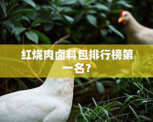 红烧肉卤料包排行榜第一名？