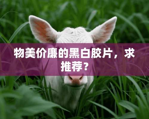 物美价廉的黑白胶片，求推荐？