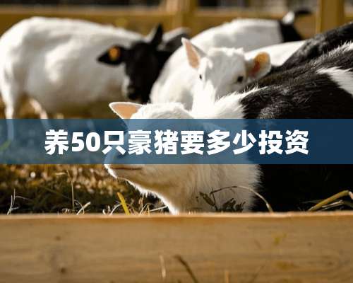 养50只豪猪要多少投资