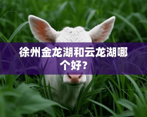 徐州金龙湖和云龙湖哪个好？