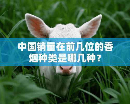 中国销量在前几位的香烟种类是哪几种？