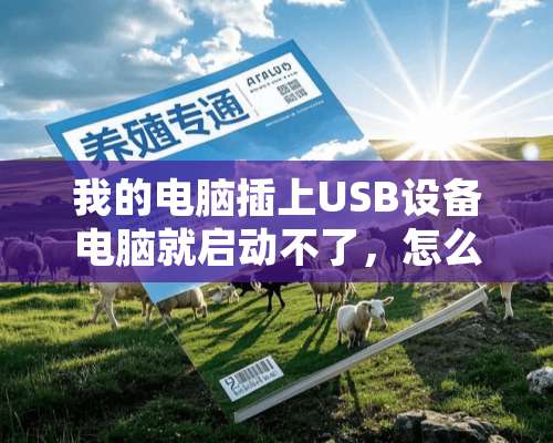 我的电脑插上USB设备电脑就启动不了，怎么回事？