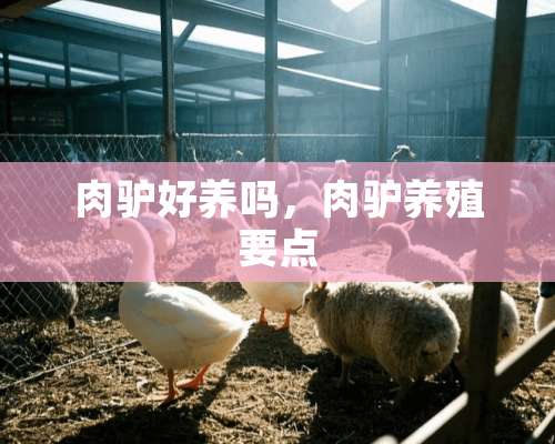 肉驴好养吗，肉驴养殖要点