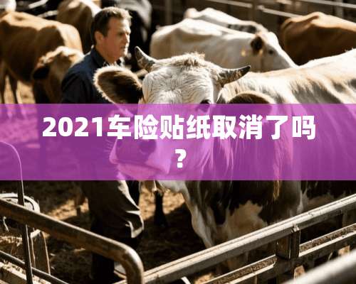 2021车险贴纸取消了吗？