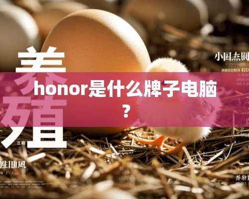 honor是什么牌子电脑？