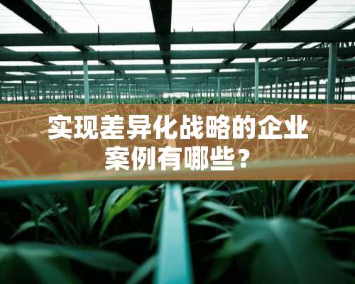 实现差异化战略的企业案例有哪些？