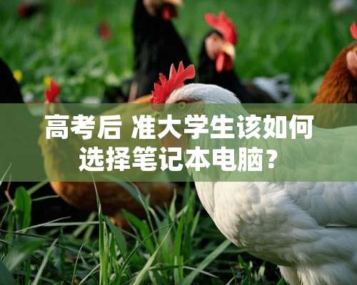 高考后 准大学生该如何选择笔记本电脑？