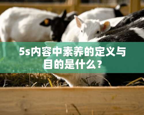 5s内容中素养的定义与目的是什么？