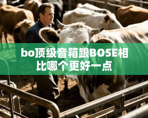 bo**音箱跟BOSE相比哪个更好一点