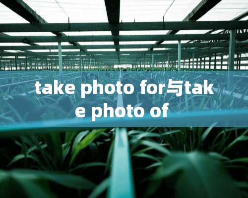 take photo for与take photo of 