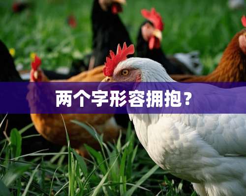 两个字形容拥抱？