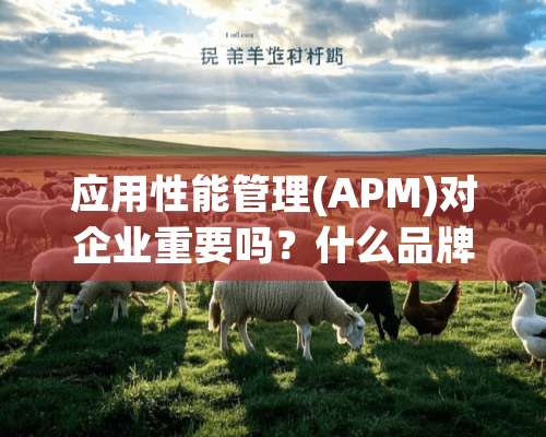 应用性能管理(APM)对企业重要吗？什么品牌比较好？