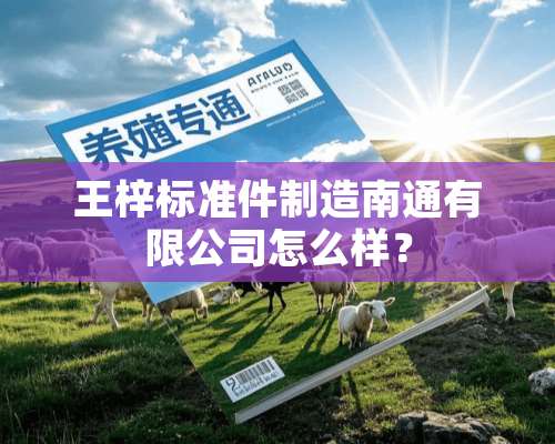 王梓标准件制造南通有限公司怎么样？