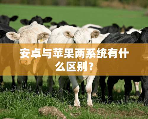 安卓与苹果两系统有什么区别？