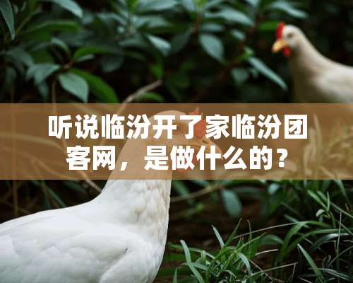 听说临汾开了家临汾团客网，是做什么的？