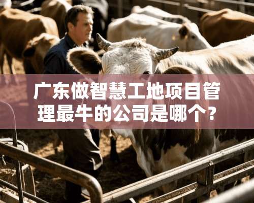 广东做智慧工地项目管理最牛的公司是哪个？