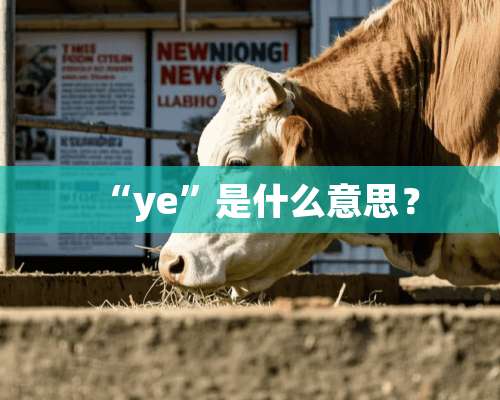 “ye”是什么意思？