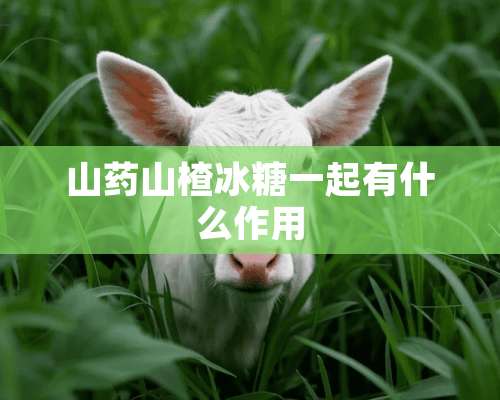 山药山楂冰糖一起有什么作用