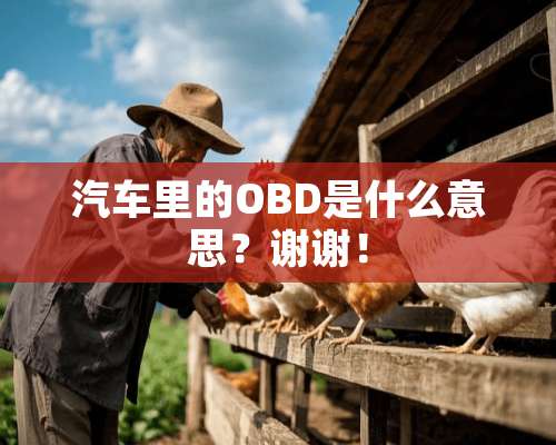 汽车里的OBD是什么意思？谢谢！