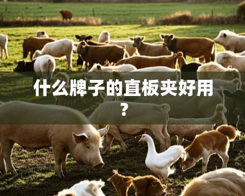 什么牌子的直板夹好用？