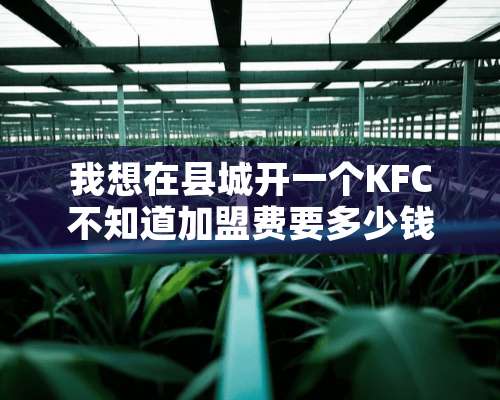 我想在县城开一个KFC不知道加盟费要多少钱啊？