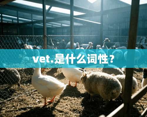 vet.是什么词性？