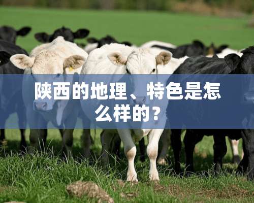 陕西的地理、特色是怎么样的？