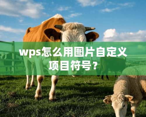 wps怎么用图片自定义项目符号？