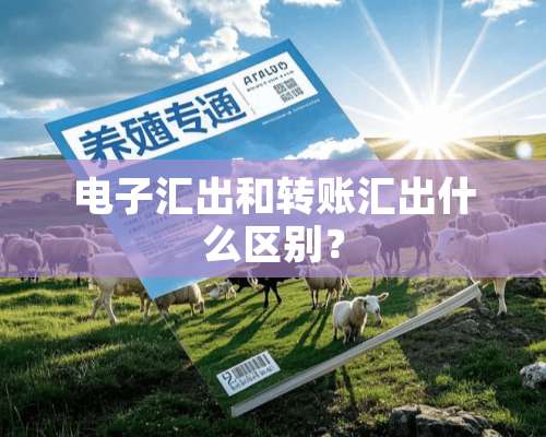 电子汇出和转账汇出什么区别？