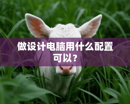 做设计电脑用什么配置可以？