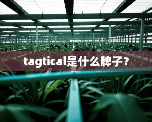 tagtical是什么牌子？