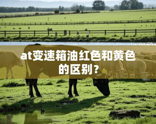 at变速箱油红色和**的区别？