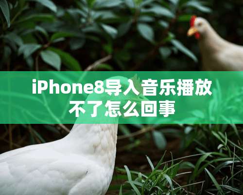 iPhone8导入音乐播放不了怎么回事