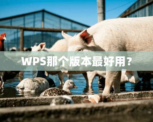 WPS那个版本最好用？