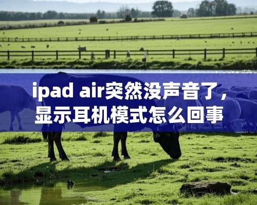 ipad air突然没声音了，显示耳机模式怎么回事？