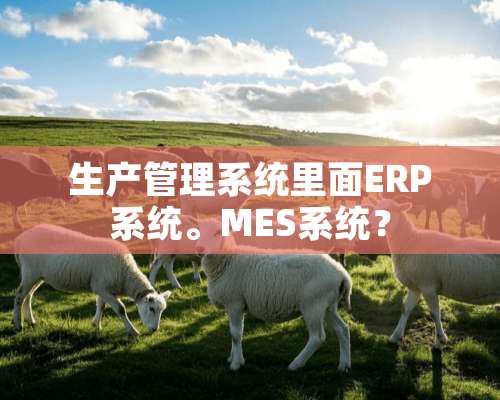 生产管理系统里面ERP系统。MES系统？