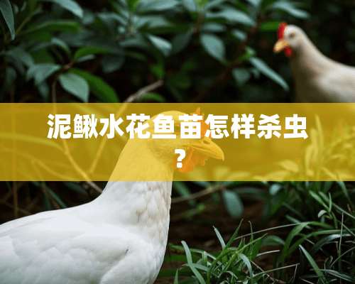 泥鳅水花鱼苗怎样杀虫？