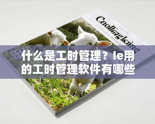 什么是工时管理？Ie用的工时管理软件有哪些？