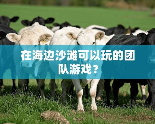 在海边沙滩可以玩的团队游戏？