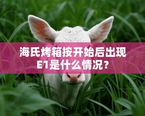 海氏烤箱按开始后出现E1是什么情况？